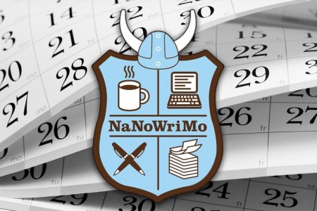 NaNoWriMo - National Novel Writing Month