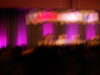 DCC 2012 046 (Large).jpg