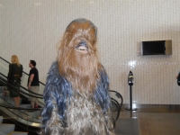 DCC 2012 058 (Large).jpg